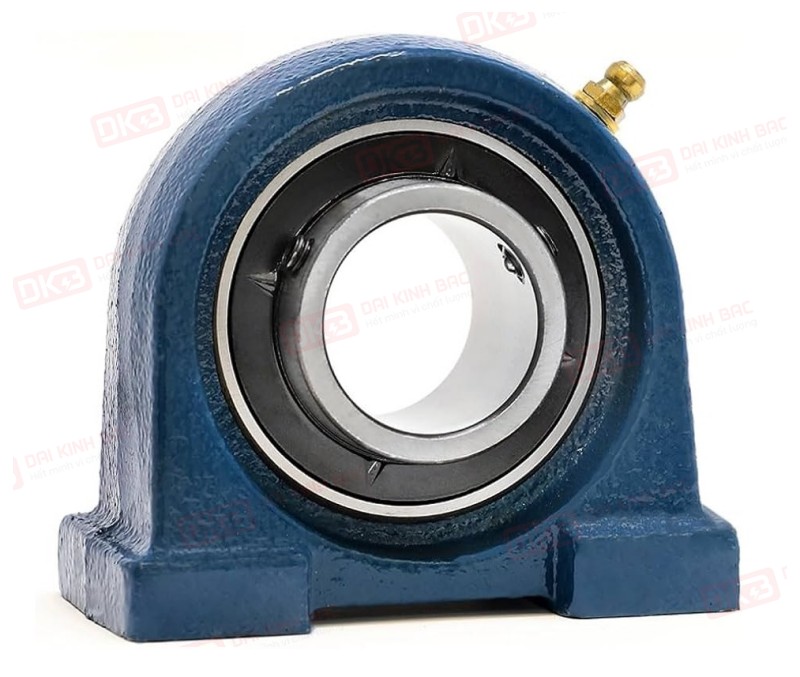 -goi-do-vong-bi-SKF-UCPA