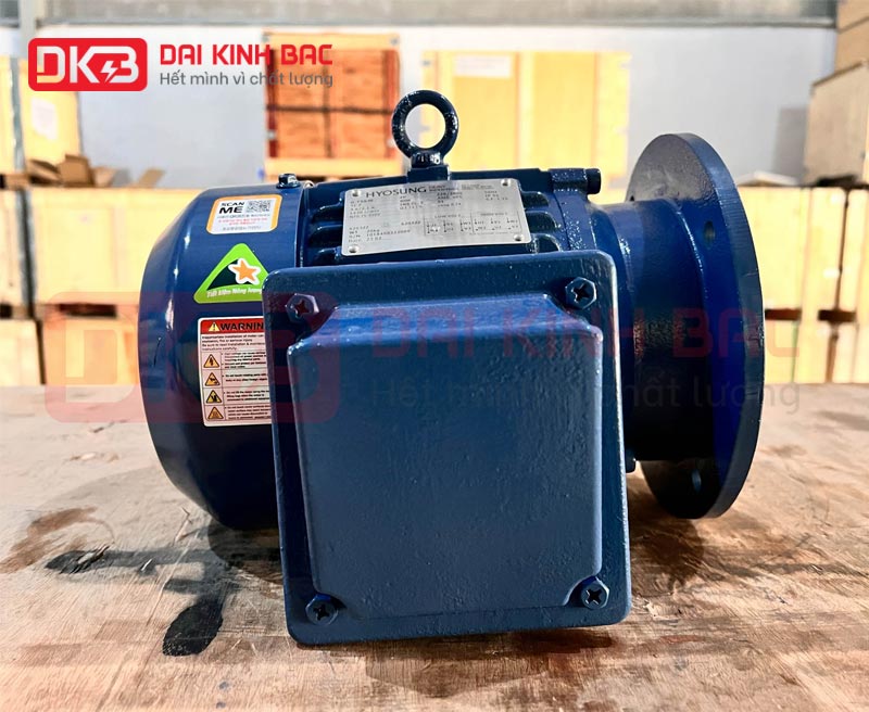 ảnh motor điện mặt bích