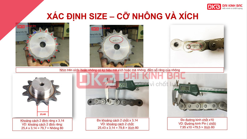 Xích Công Nghiệp DBC 100-3