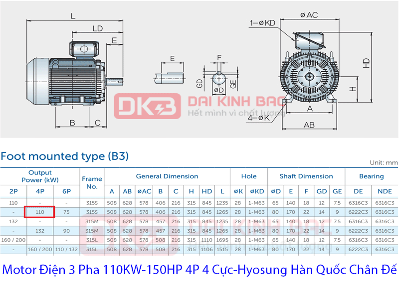 bản vẽ chi tiết motor điện 110Kw Hyosung Hàn quốc chân đế 