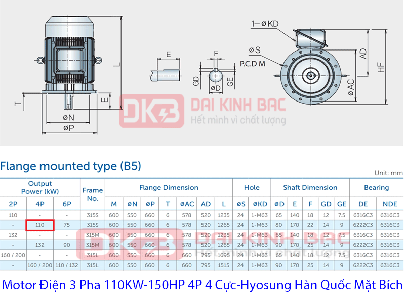 bản vẽ chi tiết motor điện 110Kw Hyosung Hàn quốc mặt bích