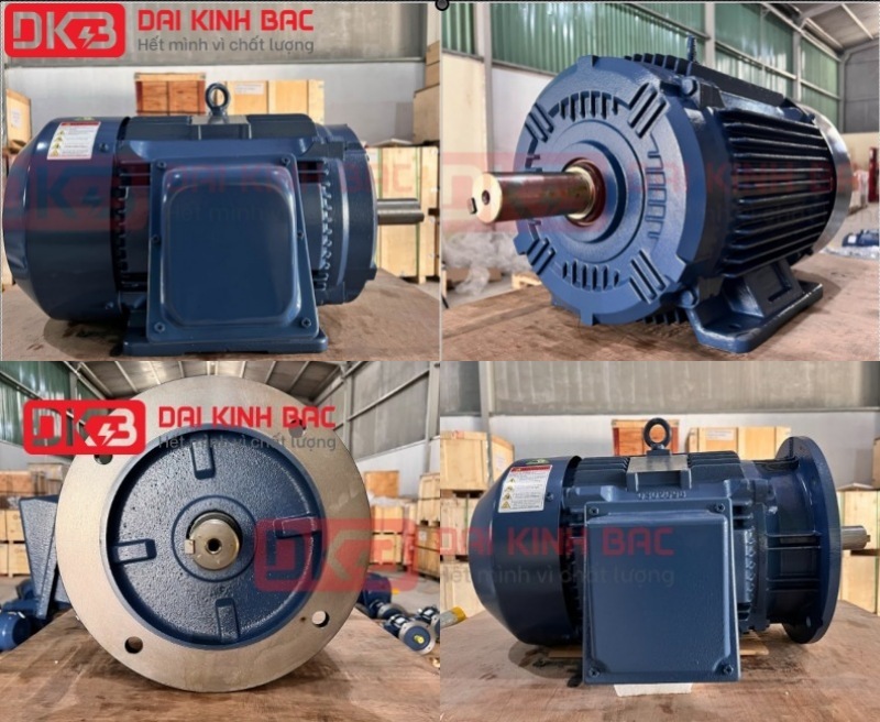 ảnh motor điện hyosung hàn quốc 110Kw 4P