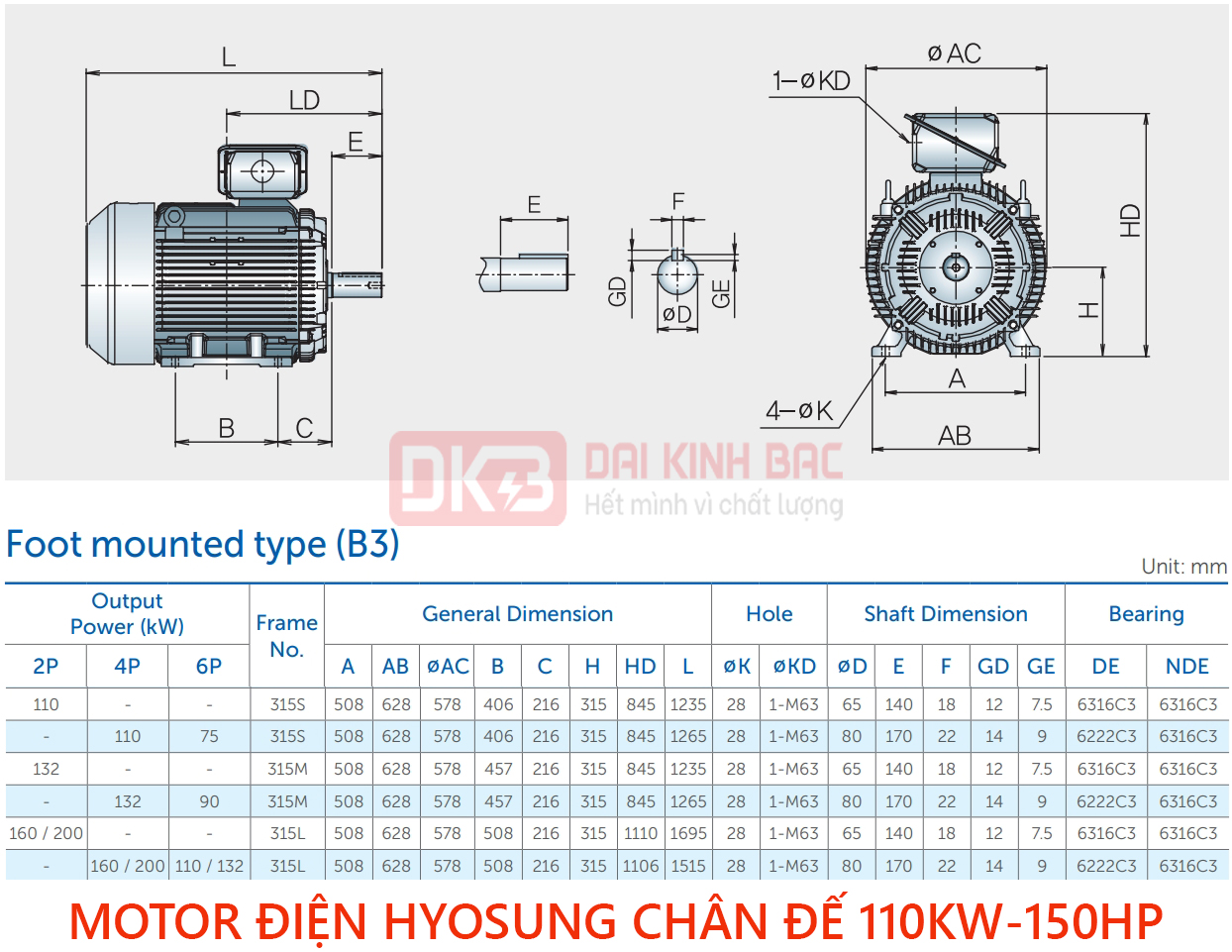 catalog motor hyosung chan de 110kw