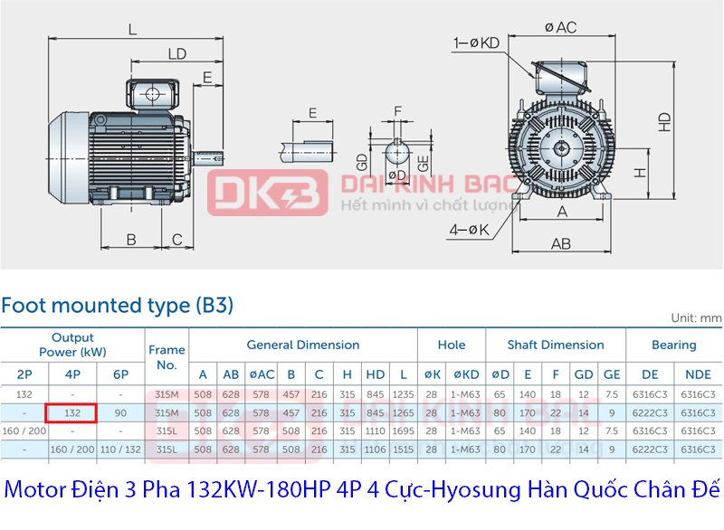 bản vẽ chi tiết motor điện hyosung hàn quốc 132Kw chân đế