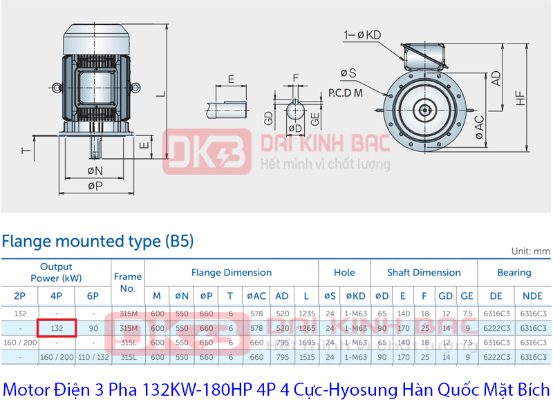 bản vẽ motor điện hyosung hàn quốc mặt bích 132Kw