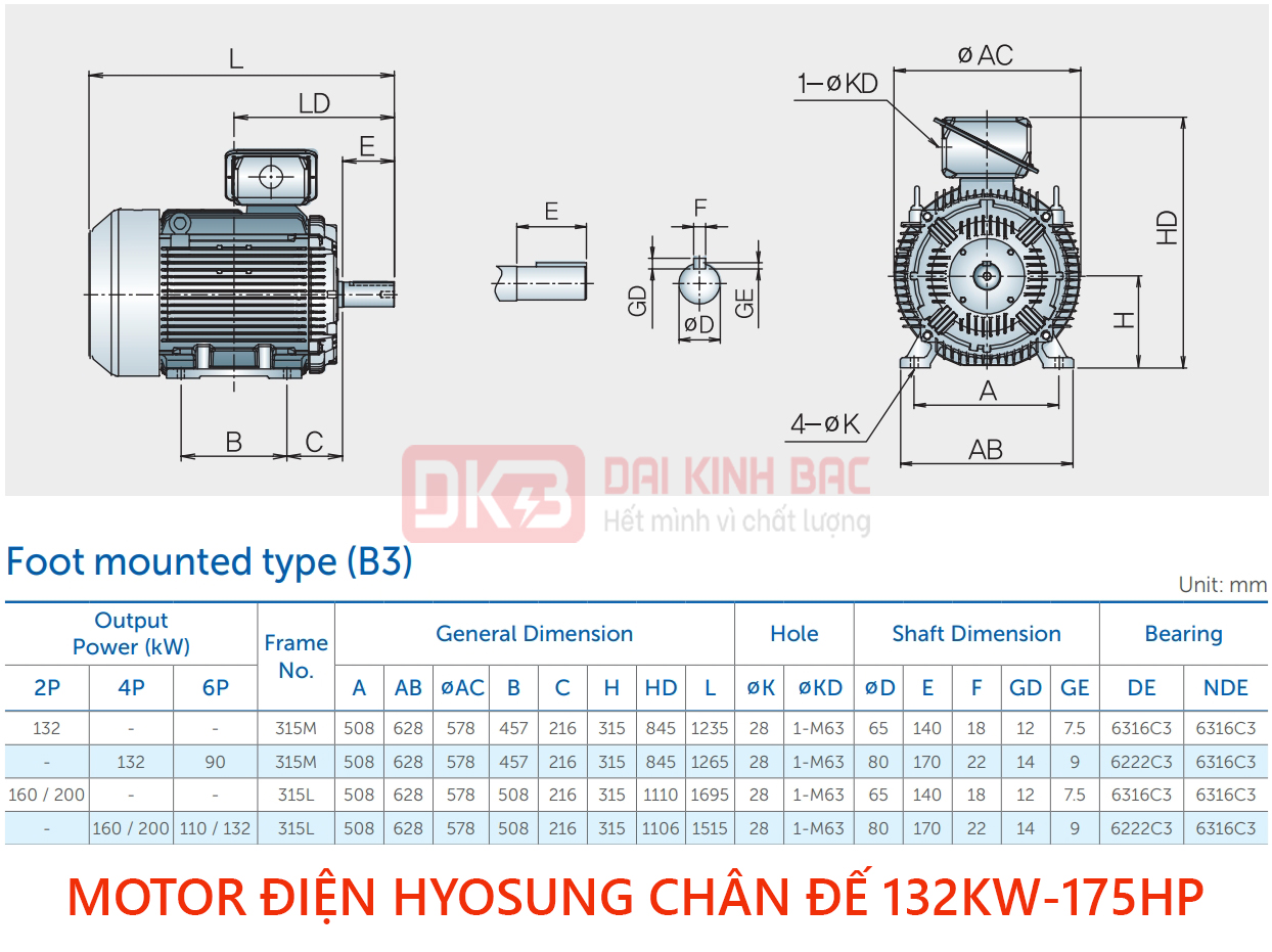 catalog motor dien hyosung chan de 132kw