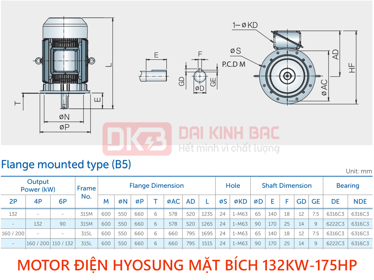 catalog motor dien hyosung mat bich 132kw