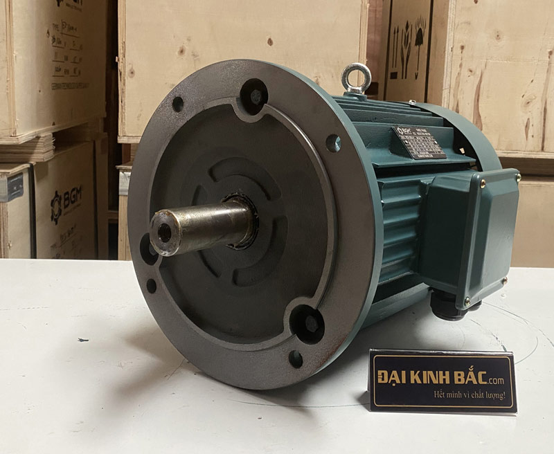 MOTOR ĐIỆN YE2-355M2-8 160 KW IE2 IE3