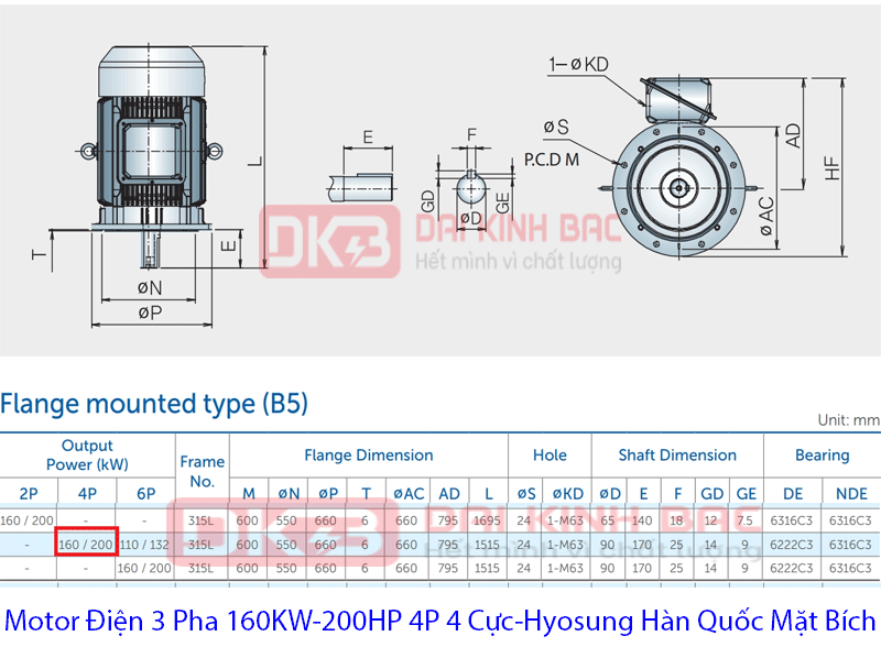 bản vẽ chi tiết motor điện hyosung hàn quốc 160KW 4P