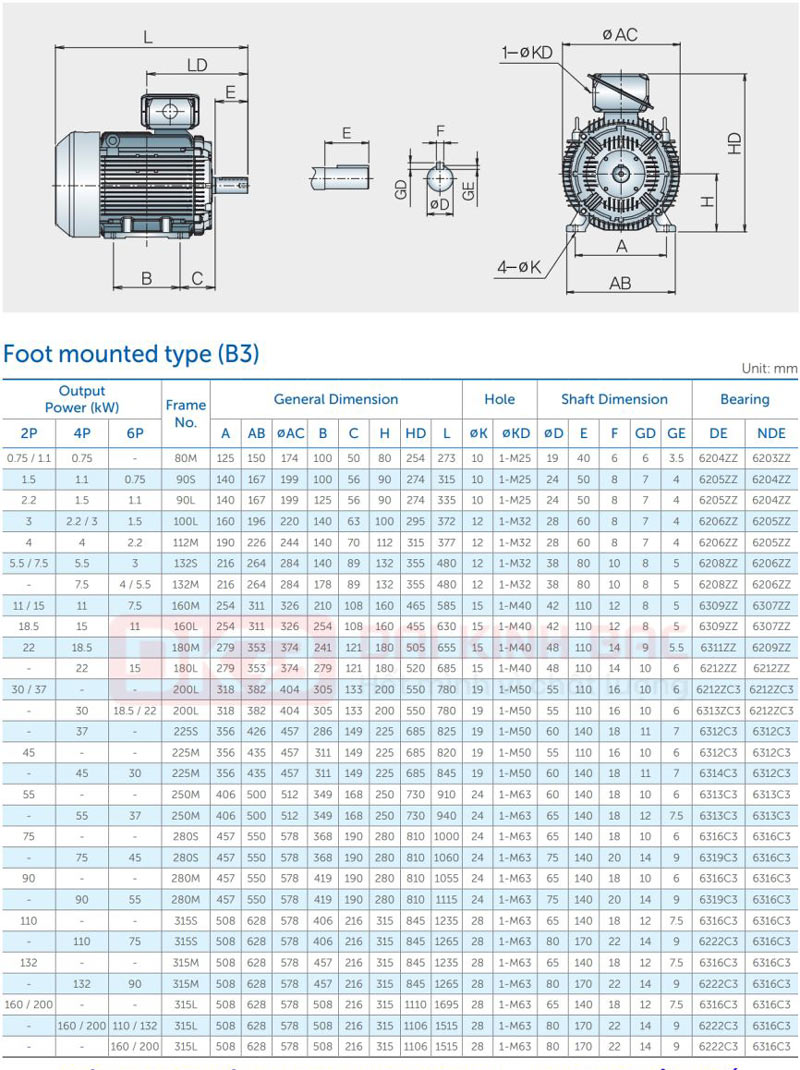 Motor Điện 3 Pha 18.5KW- 25HP 6P 6 Cực - Hyosung Hàn Quốc