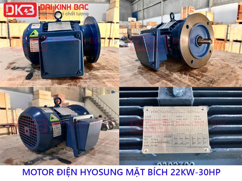 motor hyosung mat bich 22kw-30HP