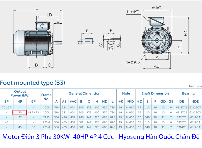 bản vẽ mô tơ điện hyosung hàn quốc 30kw chân đế