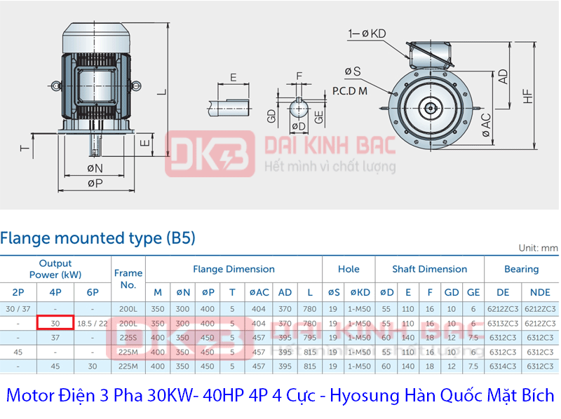 bản vẽ chi tiết mô tơ điện hyosung hàn quốc 30kw mặt bích