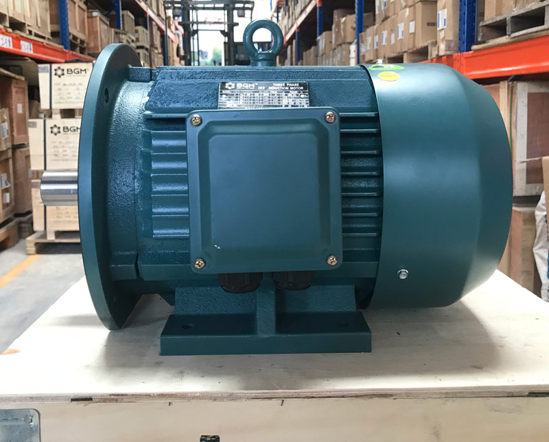 MOTOR ĐIỆN YE2-250M-8 30KW IE2 IE3 