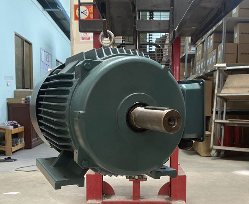 MOTOR ĐIỆN YE2-280M-8 45KW IE2 IE3