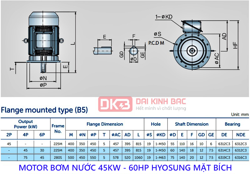 motor bom nuoc hyosung 45kw mat bich