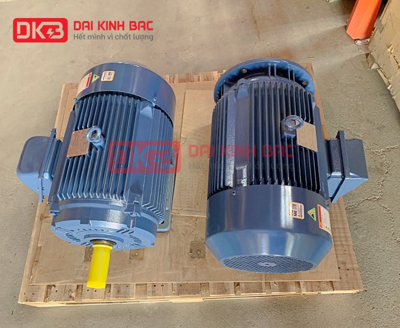 ảnh motor điện 4Kw 5.5ho 3 pha hyosung hàn quốc
