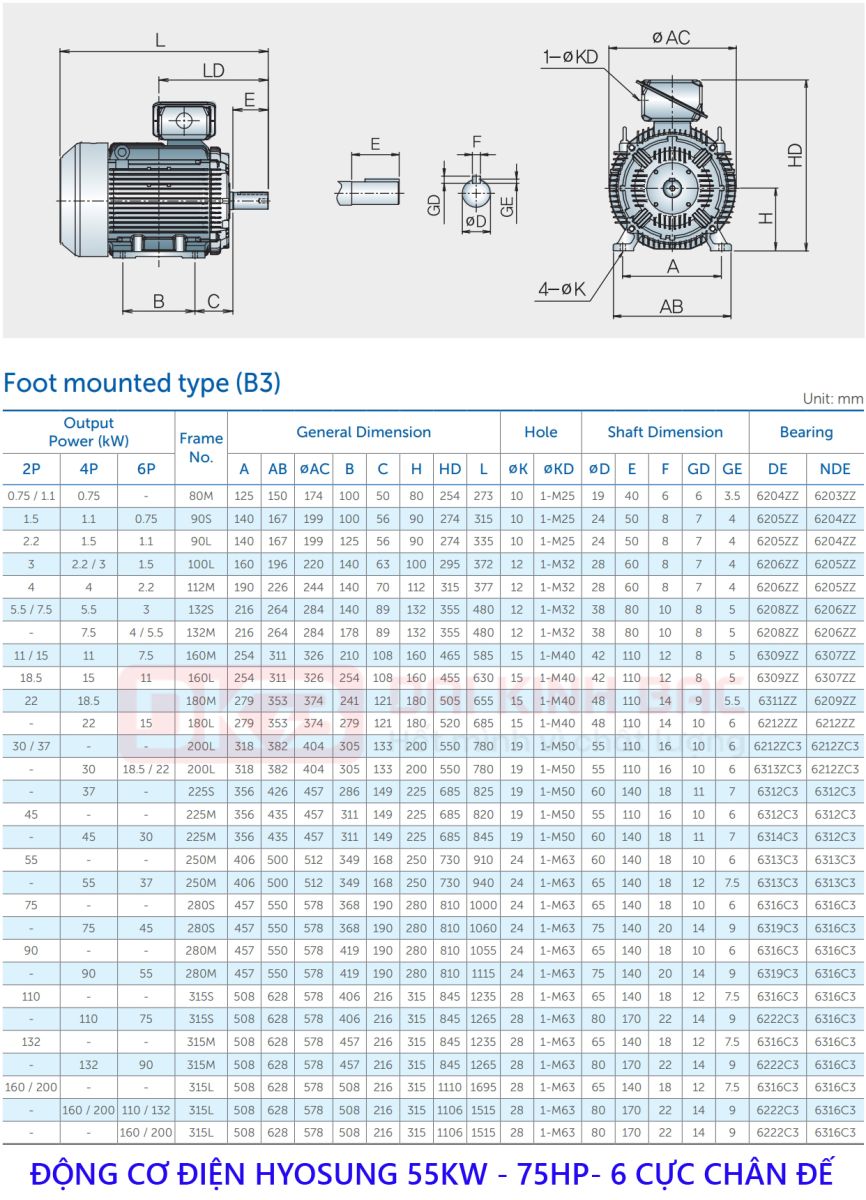 Motor Điện 3 Pha 55KW- 75HP 6P 6 Cực - Hyosung Hàn Quốc