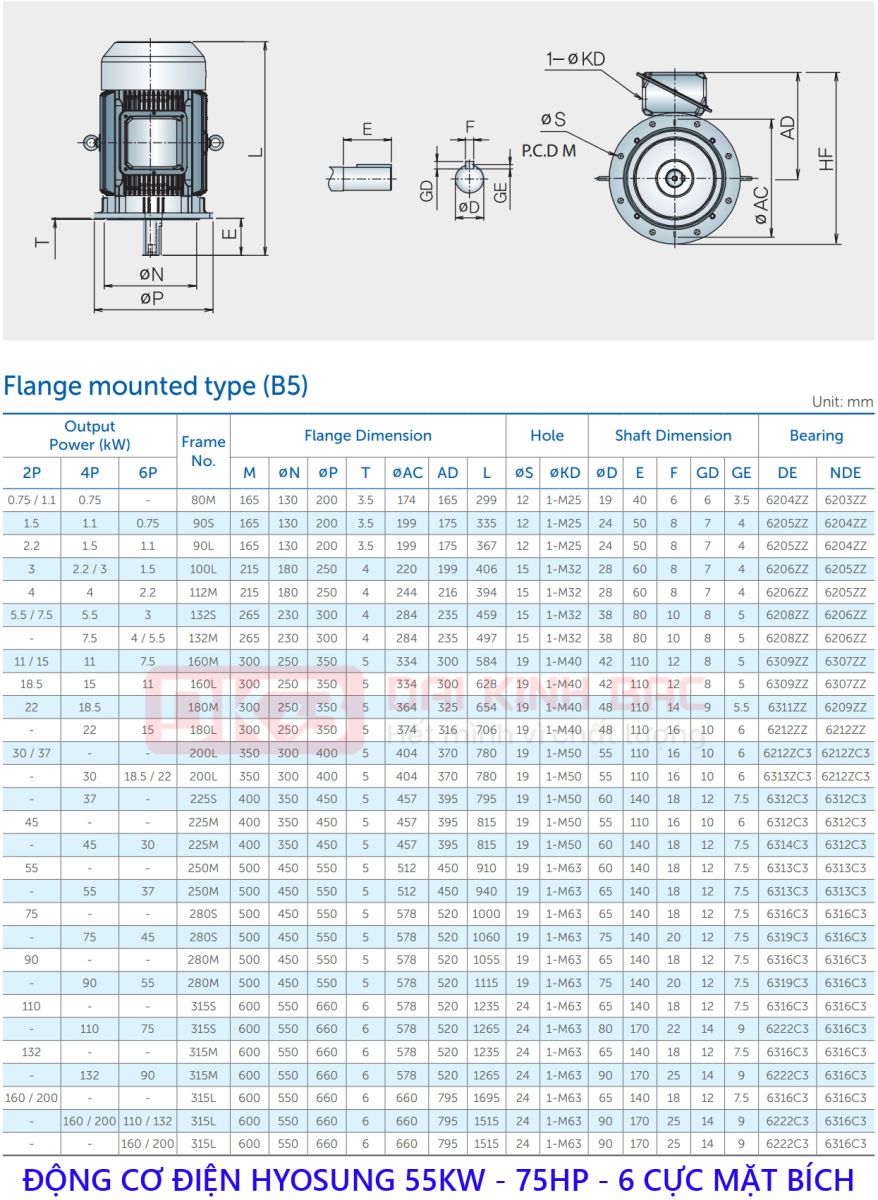 Motor Điện 3 Pha 55KW- 75HP 6P 6 Cực - Hyosung Hàn Quốc