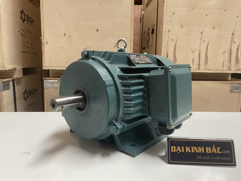 Motor điện chân đế YE2-200L1-6 18.5kw