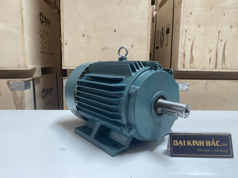 Motor điện YE2-802-2 1.1KW 2 cực (Chân đế)
