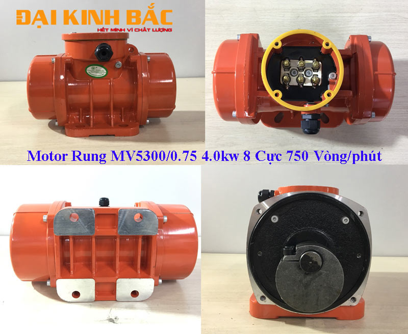 Hình thực tế của Motor Rung MV5300/0.75 4kw 8 cực 750 vòng/phút