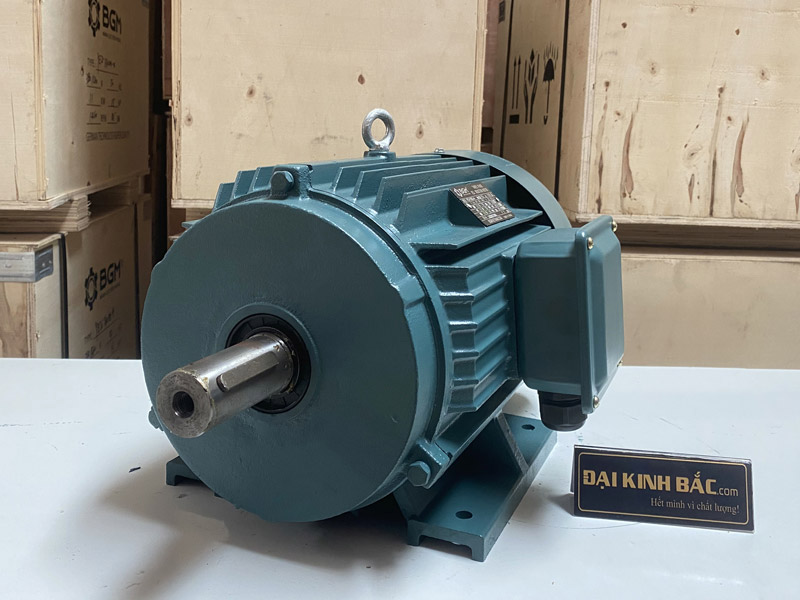 Motor điện 132kw 180hp kiểu lắp chân đế B3