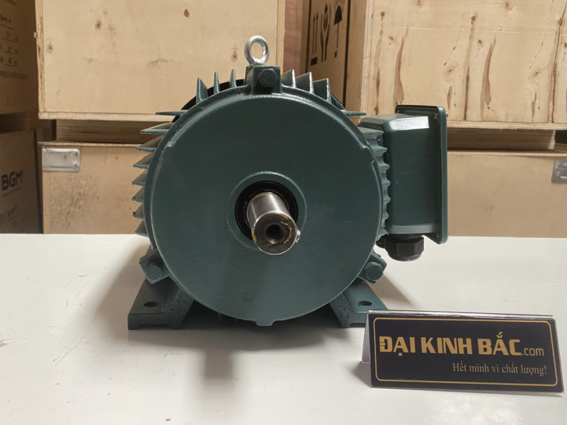 Motor điện 250kw 340hp kiểu lắp chân đế B3