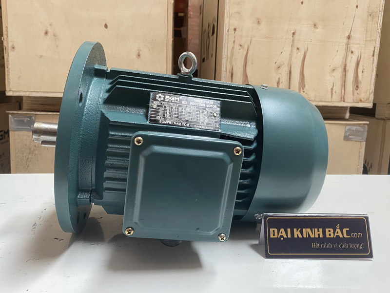 Motor điện 75kw 100hp kiểu lắp mặt bích B5