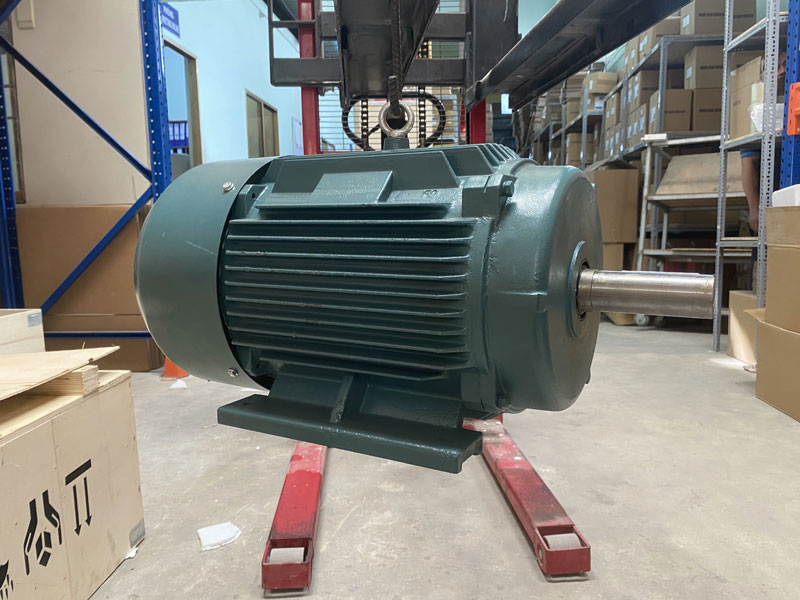 Motor điện chân đế 110Kw