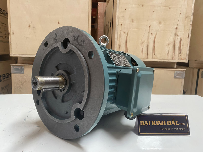 Motor điện mặt bích 160Kw