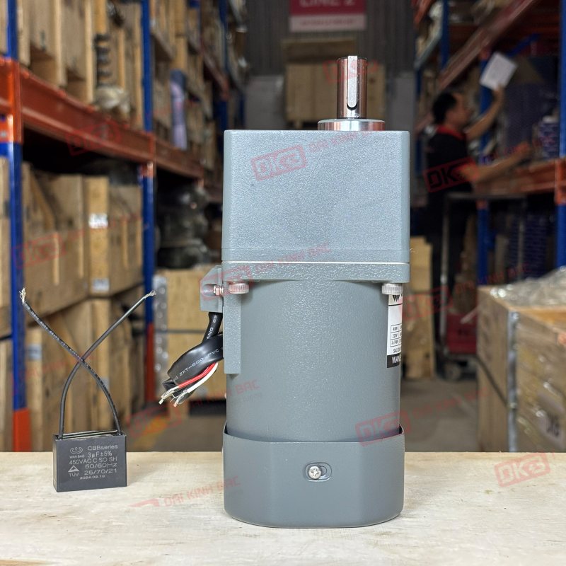 Motor-giam-toc-mini-40W 90YS40WGV22 + 90GF-50-H-