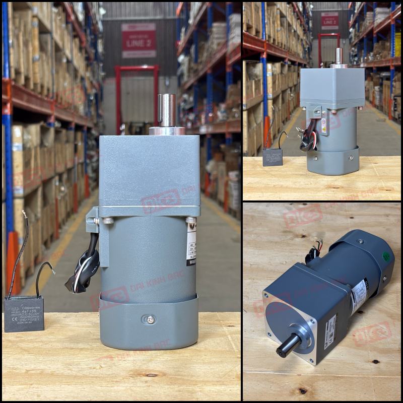 Motor-giam-toc-mini-60W 90YS60WGV22 + 90GF-5-H-