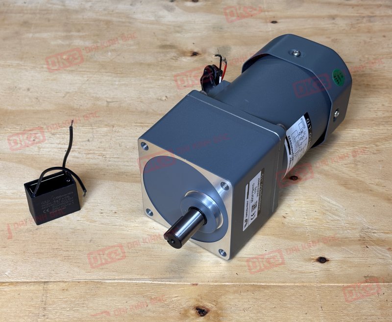Motor-giam-toc-mini-60W%2090YS60WGV22%20%2B%2090GF-75-H.JPG