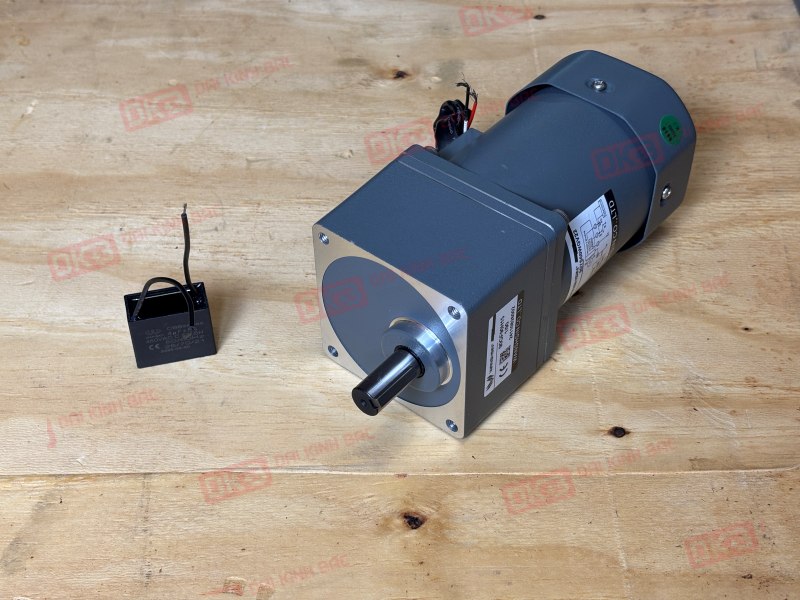 Motor-giam-toc-mini-60W%2090YS60WGV22%20%2B%2090GF-90-H.JPG