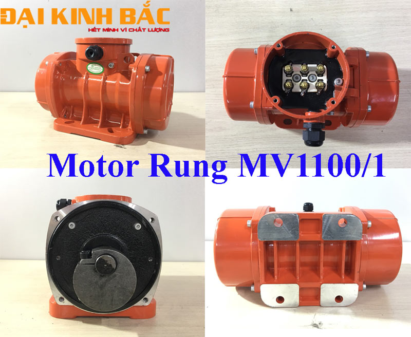 Motor Rung MV1100/1 0.75kw 6 Cực 1000 vòng/phút