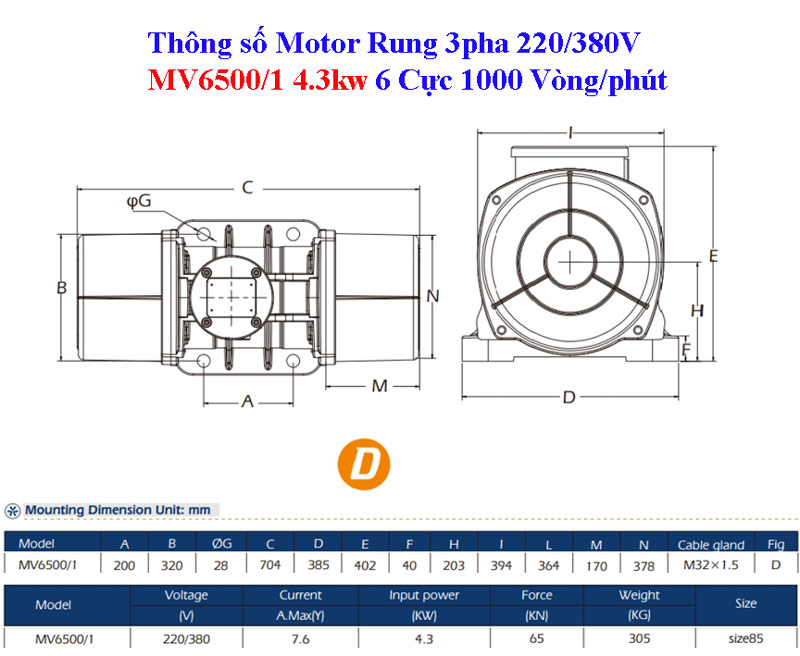 Bản vẽ Motor rung MV6500/1 4.3kw 6 cực 1000 vòng/phút