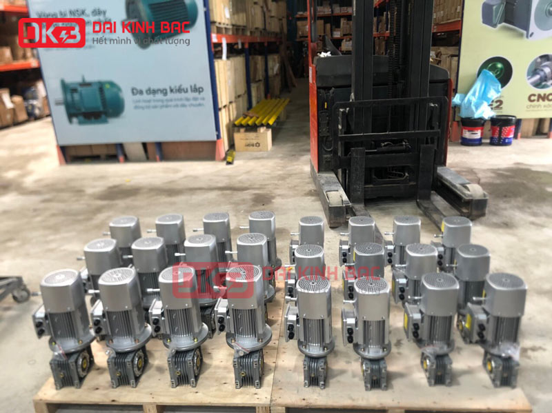 Motor Giảm Tốc Cao Cấp BGM NMRV 063
