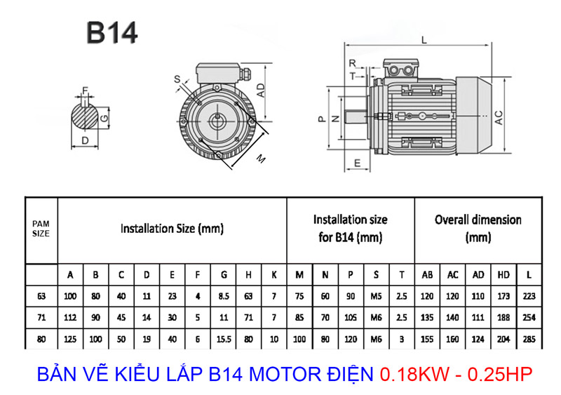 ban ve kieu lap b14 motor 018kw