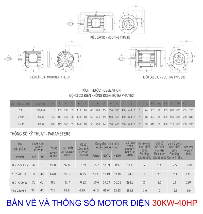 Bản vẽ Thông số Motor điện 30Kw - 40Hp