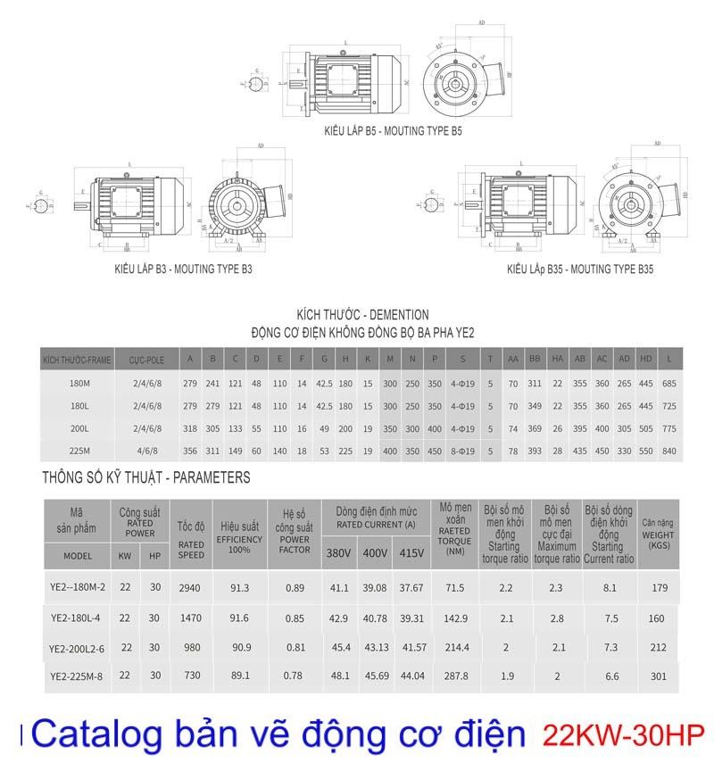 THÔNG SỐ ĐỘNG CƠ ĐIỆN 22KW- 30HP