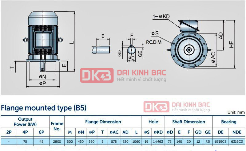 Motor Điện 3 Pha 75KW- 100HP 6P 6 Cực - Hyosung Hàn Quốc