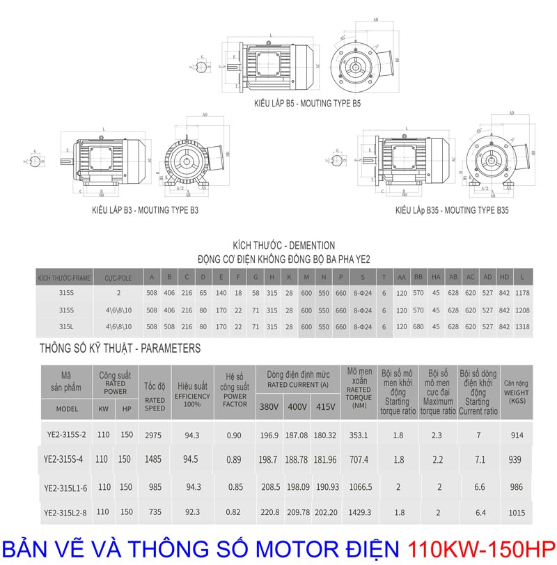 ban ve thong so motor dien cong suat 110kw 150hp