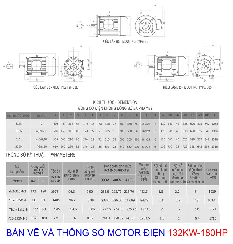 ban ve va thong so motor dien cong suat 132kw 180hp