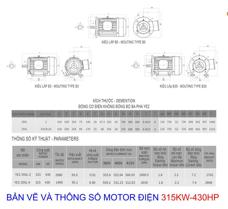 Bản vẽ thông số và catalog motor điện công suất 315Kw - 430Hp