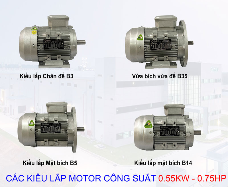 cac kieu lap cua motor dien 055kw