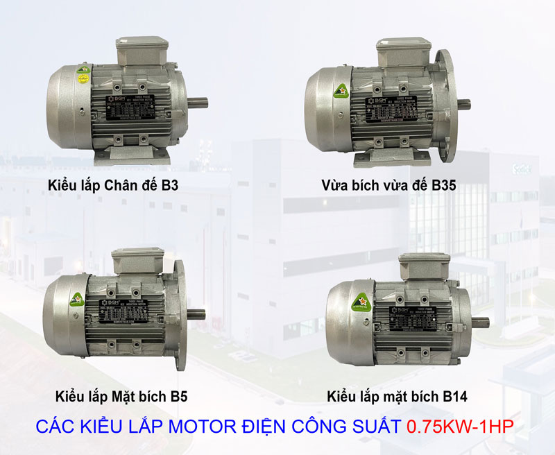 cac kieu lap motor dien 075kw 1hp