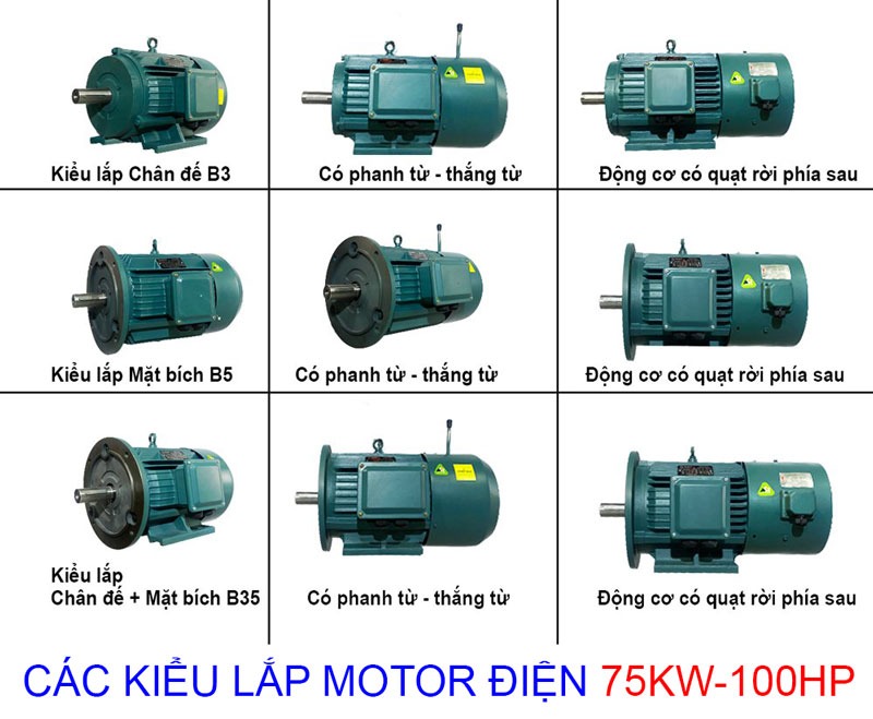 cac kieu lap motor dien cong suat 75kw 100hp