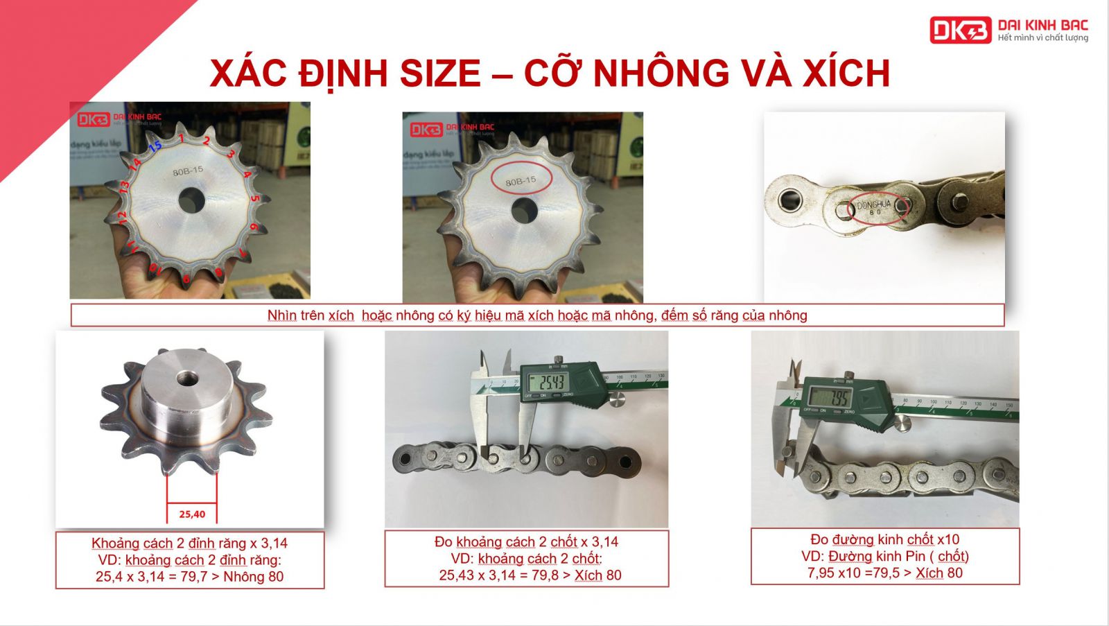 Xích Công Nghiệp DBC 60-3