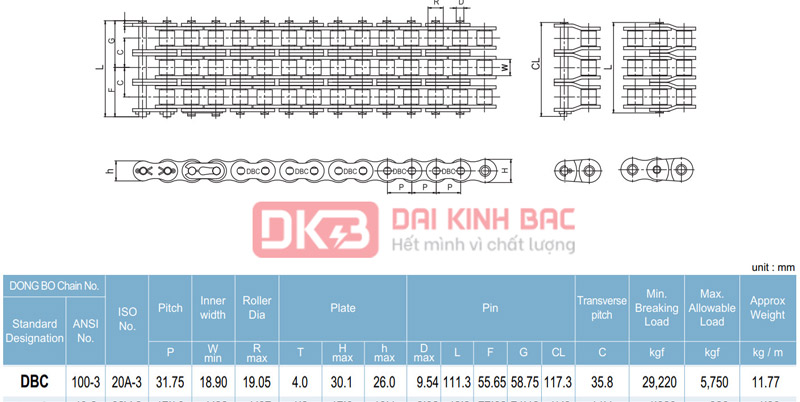 Xích Dongbo DBC 100 - Bước Xích 31.75mm Hàn Quốc